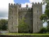 Bunratty Castle and Folk Park 1